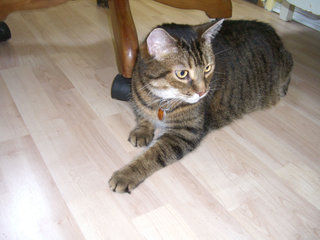 firstpicofneelix