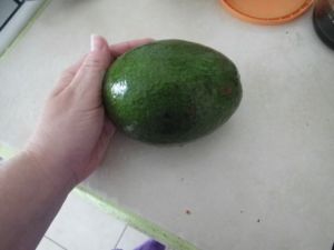 Large smooth skinned avocado.