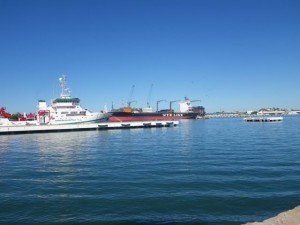 IMGP0555