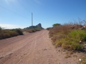 IMGP0563