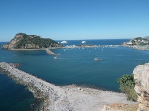 IMGP0577