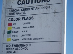 Yellow with logo is a warning for stingrays.