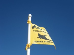 It took about two dozen pictures to get one with the wind catching the flag just right so that I could capture the logo!