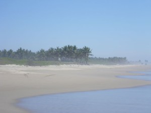 Bathroom oasis in the distance.