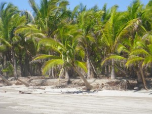 A few more high tides and this one will be done.