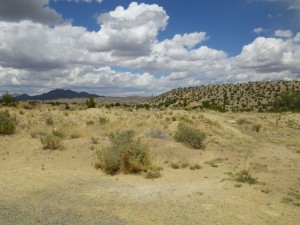 Really looks like the Okanagan!