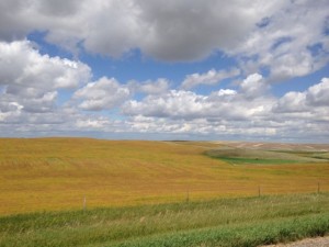 IMG_0615