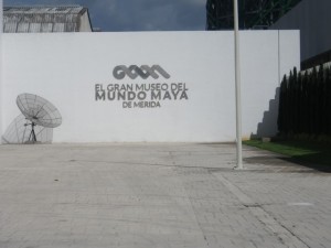 IMGP2989