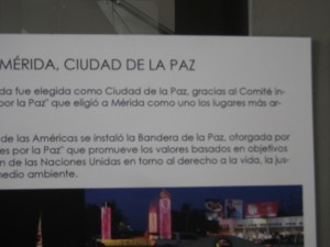 IMGP2993