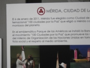 IMGP2994