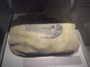 IMGP3002