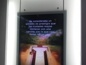 IMGP3012