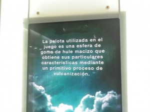 IMGP3013