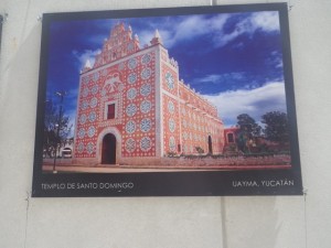 IMGP3019