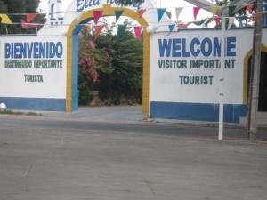 IMGP3026