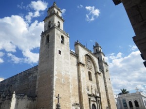 IMGP3029