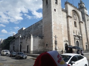 IMGP3031