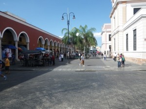 IMGP3033