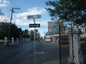 IMGP3036