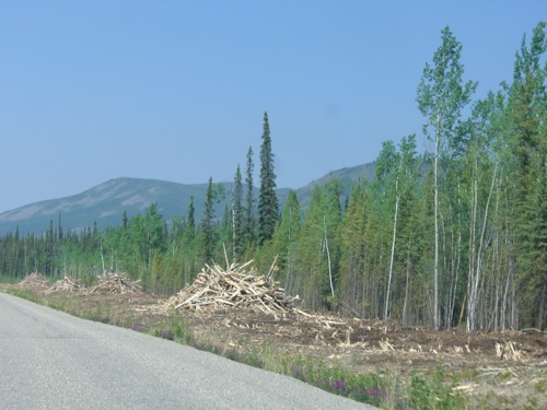 Two Measly Little Degrees